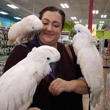 very-friendly-umbrella-cockatoo-parrots-for-sale-big-0