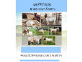 boer-goats-adults-and-kids-50-not-9916672339-small-1