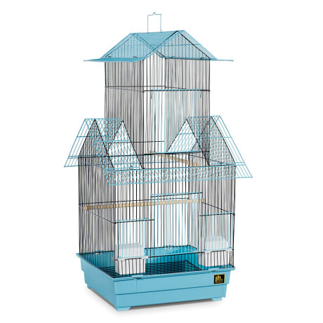 parrots-cage-is-available-big-0