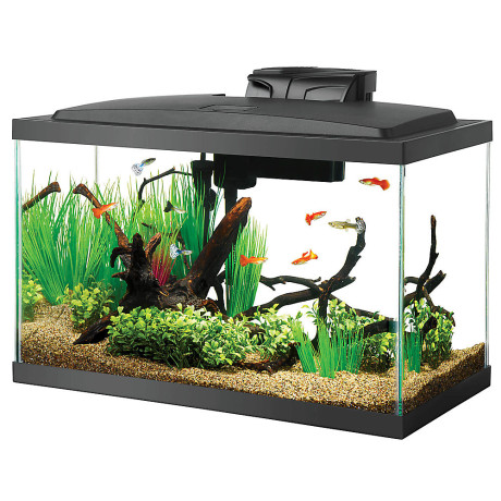 aqueon-standard-glass-rectangle-aquarium-big-1